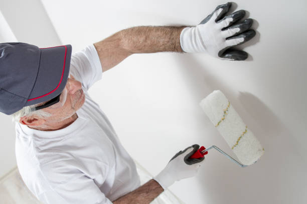 Best Post-Remediation Verification Testing  in Byron, MN
