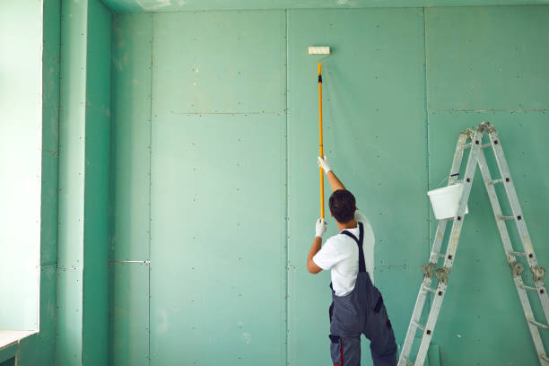 Best Dehumidification Services  in Byron, MN