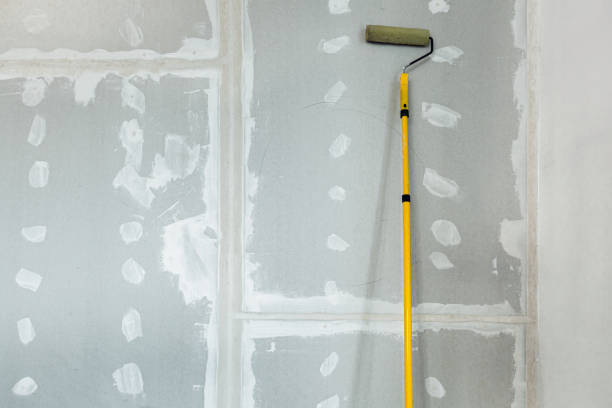  Byron, MN Mold Removal Pros