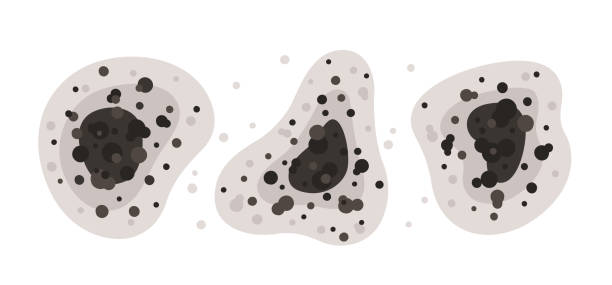 Best Air Quality Testing for Mold Spores  in Byron, MN