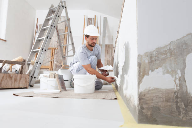 Reliable Byron, MN Mold Removal Solutions