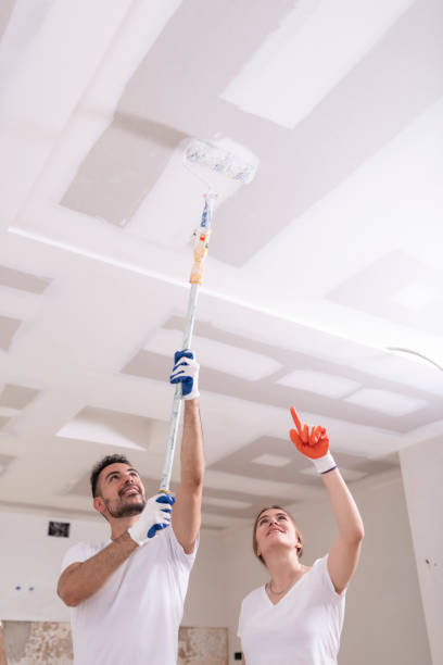 Best Mold Damage Restoration  in Byron, MN