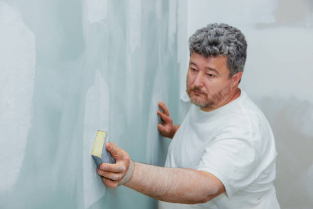 Asbestos and Lead Testing During Mold Inspection in Byron, MN