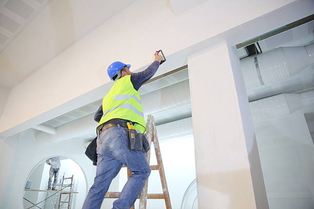 Environmental Consulting for Mold Prevention in Byron, MN