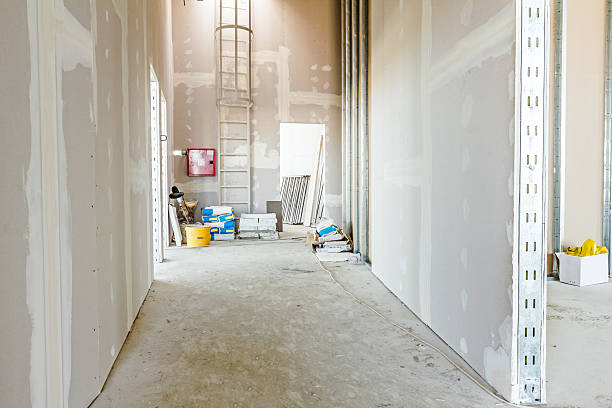 Best Air Quality Testing for Mold Spores  in Byron, MN