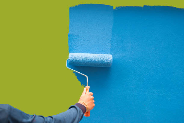 Best Black Mold Removal  in Byron, MN