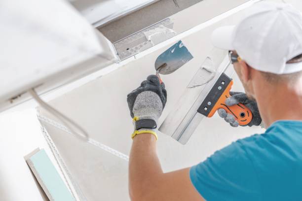 Best Industrial Mold Remediation  in Byron, MN